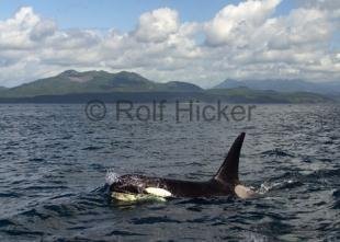 photo of CRW 9562