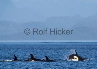 photo of CRW 9891