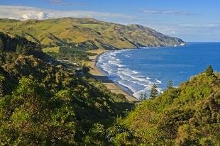 photo of New Zealand South Island East Coast Beach