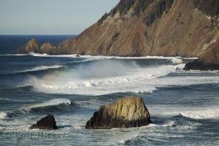 photo of ecola state park photo