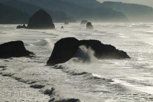 photo of ecola state park photos