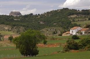 photo of El Maestrat Valencia Poppies