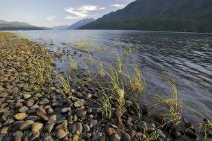 photo of Nimpkish Lake Mountains