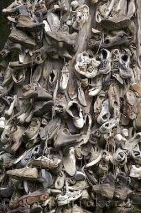 photo of Cedar Shoe Tree