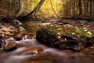 photo of fall scenes