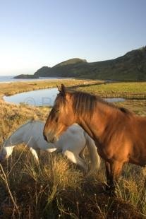 photo of Farm Scenery Pictures