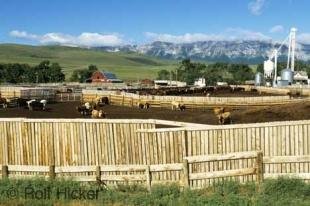 photo of Farm Alberta