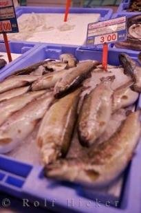 photo of Fish Sale Mercado Central Mercat Markets Valencia Spain