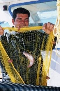 photo of Greek Fisherman Showing Catch