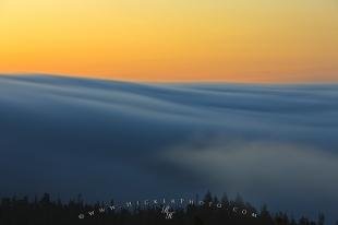 photo of Fog Blanket Queen Charlotte Strait