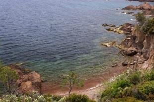 photo of French Beach Picture