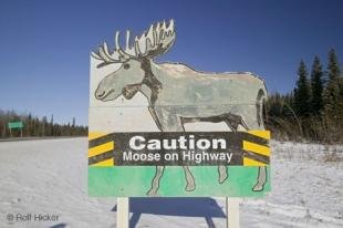 photo of Funny Road Sign Caution Moose