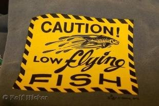photo of Low Flying Fish Funny Sign