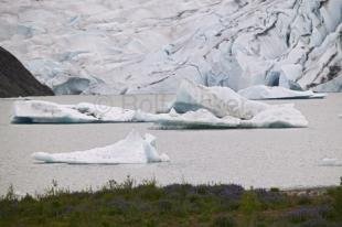 photo of Glacier Landscape Picture