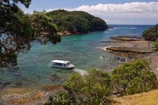 photo of Goat Island Marine Reserve