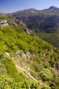 photo of Gorges Du Loup Alpes Maritimes Provence France