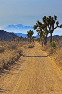 photo of Gravel Road Mojave Desert Joshua Tree National Park