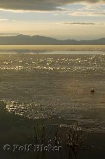 photo of Frozen Great Salt Lake Sunset Photo