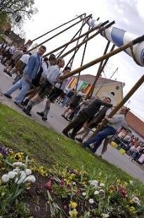 photo of Historical Pole Raising