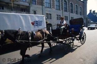 photo of horse buggy