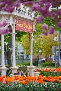 photo of Hotel Entrance Flowers Niagara On The Lake Ontario
