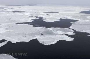 photo of Ice Formations Ice Floes