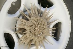 photo of ice formation