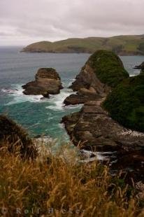 photo of Jacks Bay Coastline Otago New Zealand