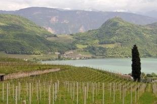 photo of Kaltern South Tirol Italy