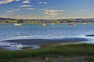 photo of Kawhia Harbour New Zealand