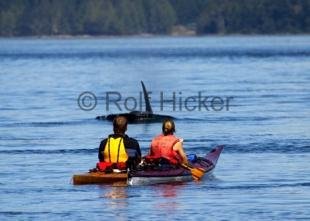 photo of Kayaking Vancouver Island