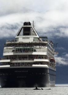 photo of Holland America