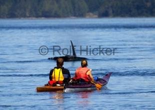 photo of Touring Kayak