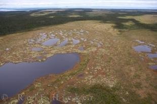 photo of Aerial Picture Of Southern Labrador