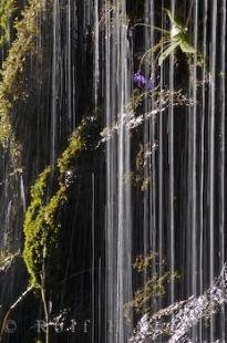 photo of Landscape Waterfall Aragon Spain