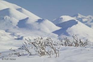 photo of Landscape Art