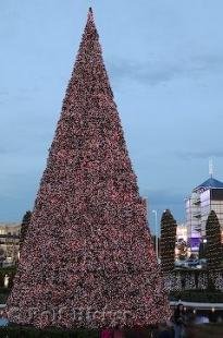 photo of Las Vegas Christmas Vacation