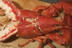 photo of Meal Of Newfoundland Lobster