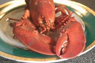 photo of Lobster Picture