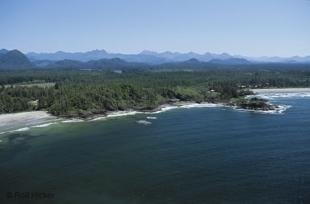 photo of Long Beach