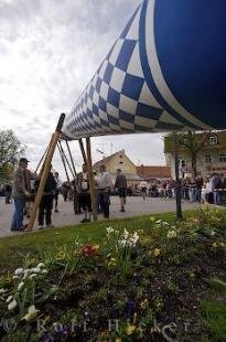 photo of Maibaum Festival