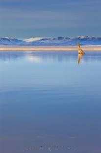 photo of Tufa Tower Mono Lake