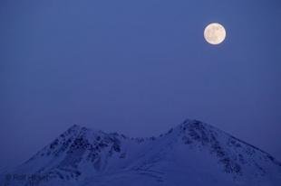 photo of Full Moon Pictures Alaska Winter