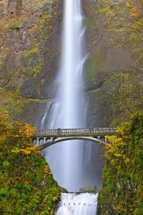 photo of Fall Multnomah Falls Waterfall Oregon
