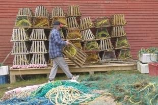 photo of Newfoundland Lobster Traps