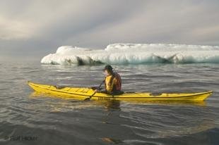 photo of Arctic Pictures Paddling along Ice