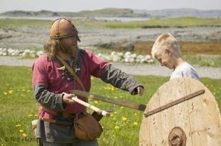 photo of Viking Shields