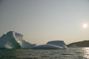 photo of newfoundland F76T1412