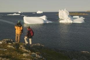 photo of newfoundland F76T2071