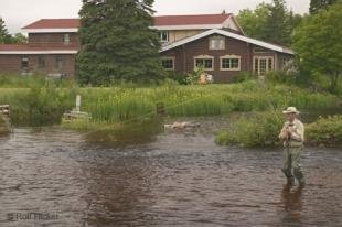 photo of newfoundland F76T3443